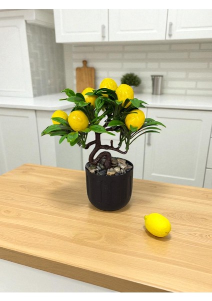 Siyah Saksıda Çakıl Taşlı Yapay Limon Ağacı 18 cm