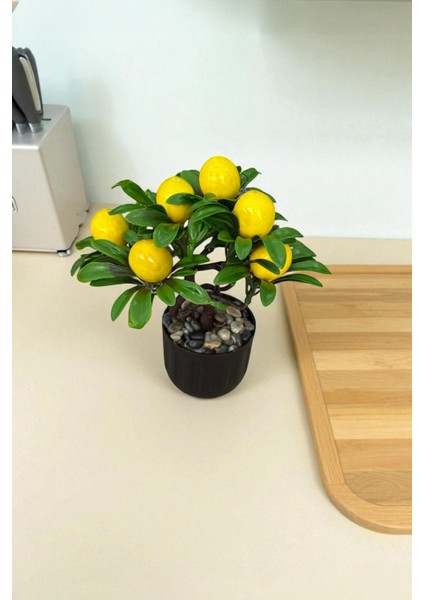 Siyah Saksıda Çakıl Taşlı Yapay Limon Ağacı 18 cm fiyatları
