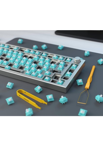 Pc Gaming Race Lynx Lineer Yağsız Switch 5 Pinli Rgb Işık Delikli indirimleri