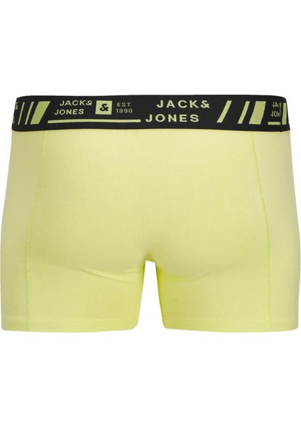 Jacangus Erkek 3 Lü Set Sarı Mavi Siyah Boxer 12277576