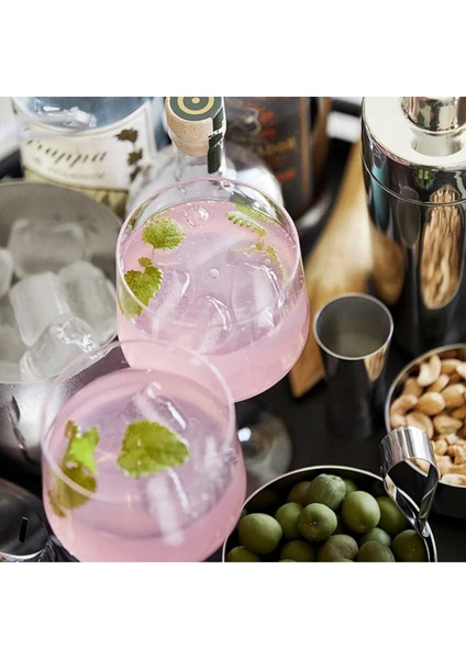 Rocks Cin Tonik Kadeh 2 Adet 47 cl modelleri