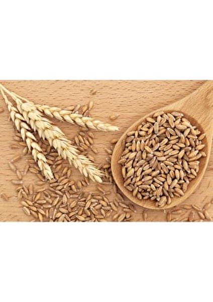 Dinkel Spelt Un 1 kg Yüksek Lifli Vejetaryen Beslenme İçin İdeal modelleri