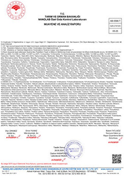 Glutensiz Çiğ Karabuğday Unu 1 kg Sağlıklı Beslenme İçin Pratik Seçenek fırsatları