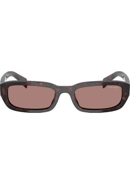 Pr B06S (17N60B) 53 | Unisex Kahverengi Güneş Gözlüğü modelleri