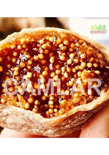 İncir 2000 gr Aydın Germencik Dağ İnciri Şeker Katkısız Doğal Lezzet fiyatları