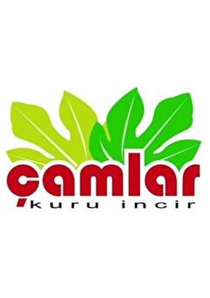 İncir 2000 gr Aydın Germencik Dağ İnciri Şeker Katkısız Doğal Lezzet fırsatları