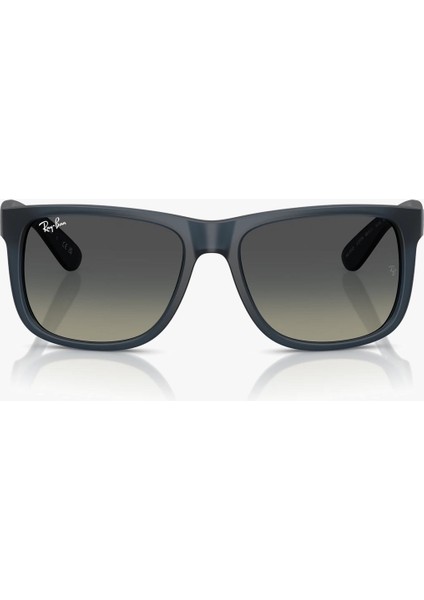 Rb 4165 681311 55 Ray-Ban Güneş Gözlüğü