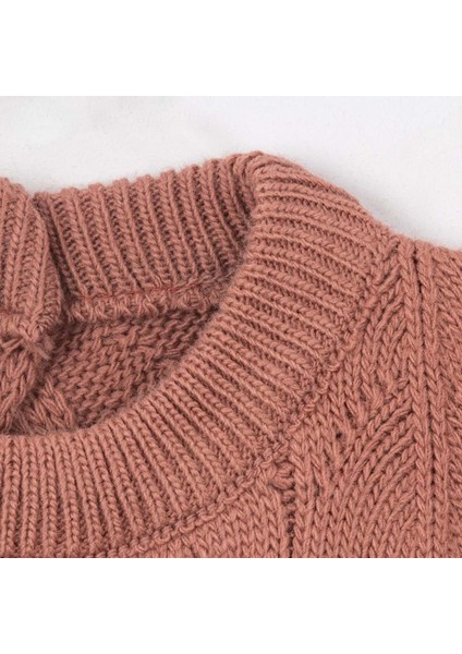 Bisiklet Yaka Triko Süveter - NEC244257-GÜL Kurusu-9 - 12 Ay Gül Kurusu fiyatları