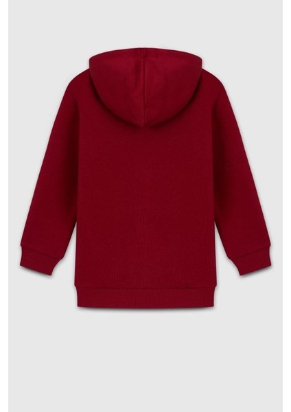 Erkek Çocuk BNT-B23341 Sweatshirt Bordo fiyatları
