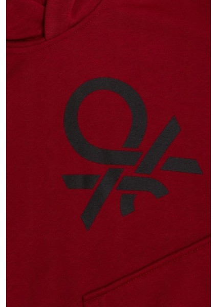 Erkek Çocuk BNT-B23341 Sweatshirt Bordo modelleri
