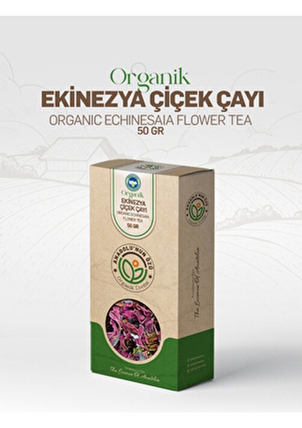 Organik Ekinezya Çayı 50 gr Katkı Maddesi İçermeyen Doğal ve Ferahlatıcı modelleri
