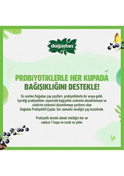 Probiyotikli Yeşil Çay Açai Ananas 2 Adet 14 Bardaklık Ferahlatıcı İçecek