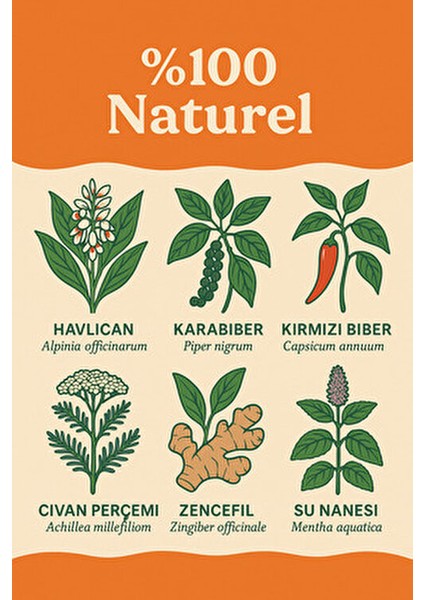 Purethermo Termojenik Çay 21 Günlük 20 Adet Ferahlatıcı Lezzetli İçecek indirimleri