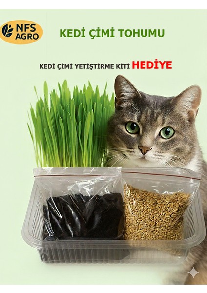 agro kedi çimi buğdaytohumu (yetiştirme kiti hediye)