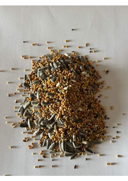 Yavru Sultan Papağanı Yemi 1 kg modelleri