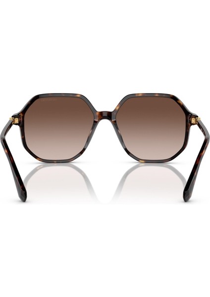 6003 100213 57 Swarovsk Güneş Gözlüğü