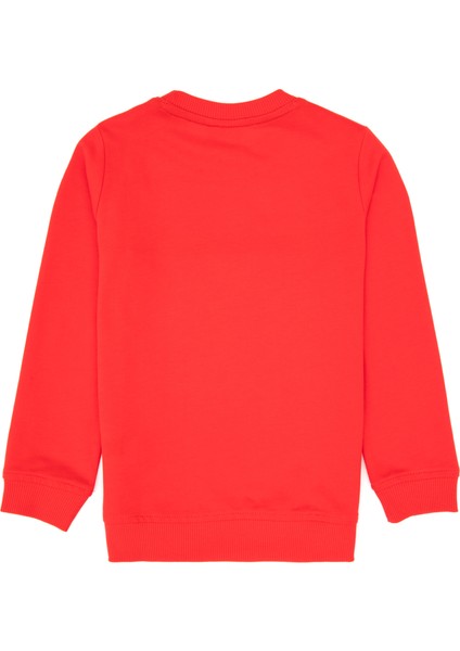 Erkek Çocuk Kırmızı Sweatshirt 50313994-VR030 fiyatları