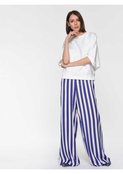 Geniş Çizgili Mavi Kadın Pantolon Standart Renk Y1912037_089