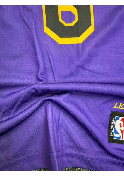 James 6 Lakers Basketbol Forması fırsatları