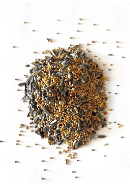 Cennet Papağanı Sevda Papağanı Yemi 1 kg