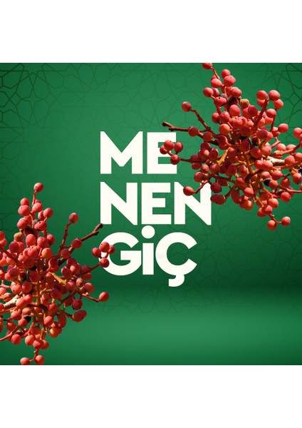 Dr.coffee Sütlü Menengiç Kahvesi Teneke 250 gr fırsatları