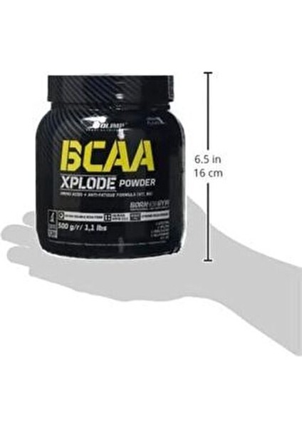 BCAA Xplode Toz Ananas Aromalı 500 g Amino Asit ve Anti-Yorgunluk Formülü fırsatları