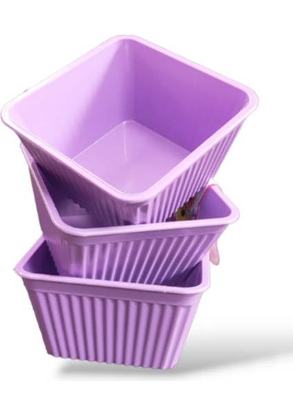 3'lü Kare Çerezlik ROYALEKS-540