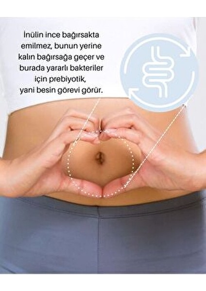 Hindiba Kökü Şurubu Düşük Glisemik İndeksli 200 gr Belçika Menşeli Vegan Alternatif