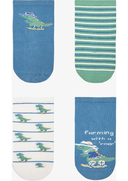 Erkek Çocuk Dino Farm Dinozor Desenli 4'lü Soket Çorap