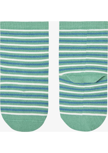 Erkek Çocuk Dino Farm Dinozor Desenli 4'lü Soket Çorap