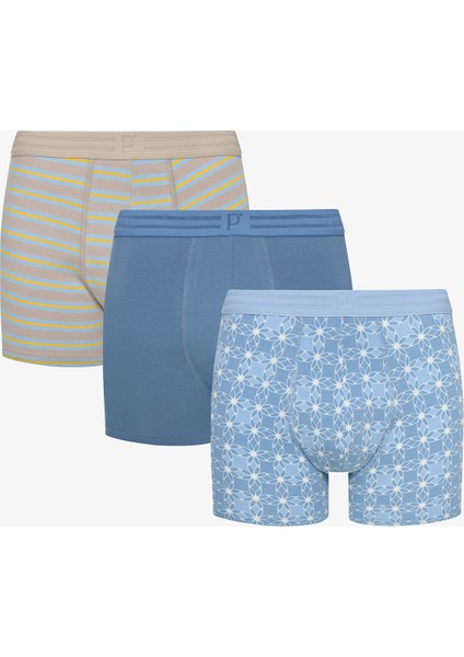Erkek Pamuklu Blue Design Çok Renkli 3lü Boxer