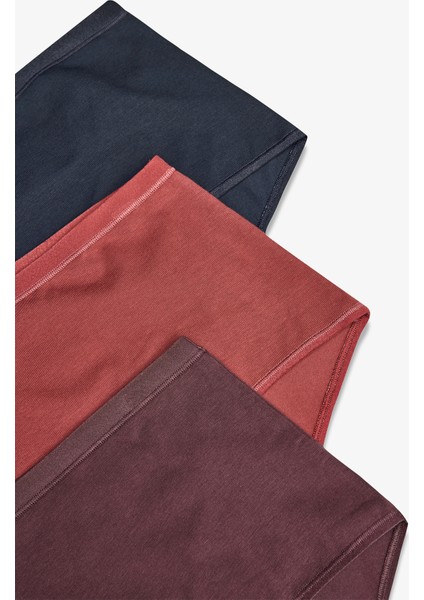 Karışık Renk Terra 3'lü Yüksek Bel Slip Külot