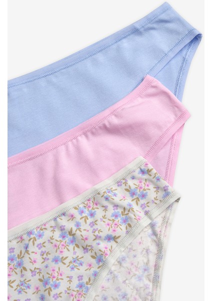 Violet Daisy 3lü Çok Renkli Slip Külot