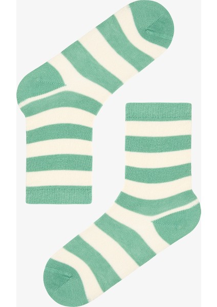 Çok Renkli Erkek Çocuk Bold Stripes 4lü Soket Çorap