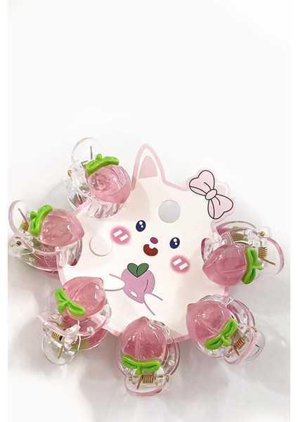 Pink Peach 6'lı Mini Mandal Set modelleri