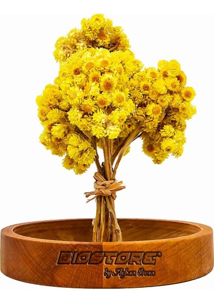 Altın Otu Demeti 1 Adet