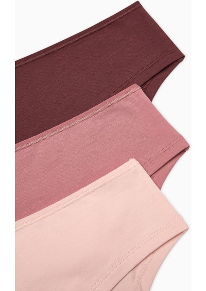 Earth Tones 3lü Hipster Çok Renkli Külot