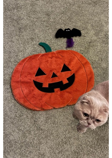 Cadılar Bayramı Temalı Kedi Minderi | Balkabağı Şeklinde Oyun ve Dinlenme Minderi indirimleri