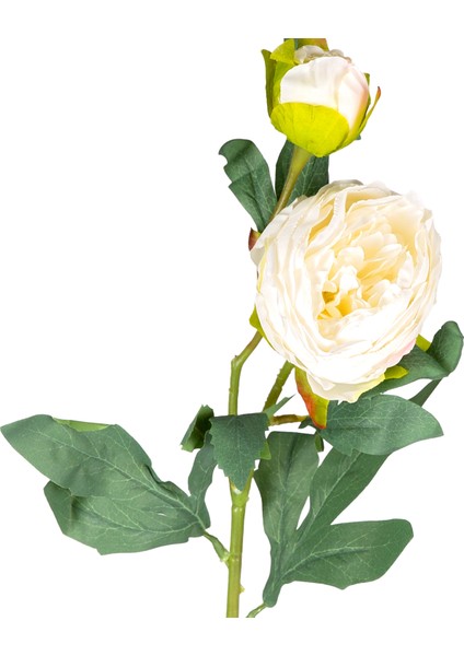 Yapay Çiçek Şakayık Beyaz 66 Cm. fiyatları