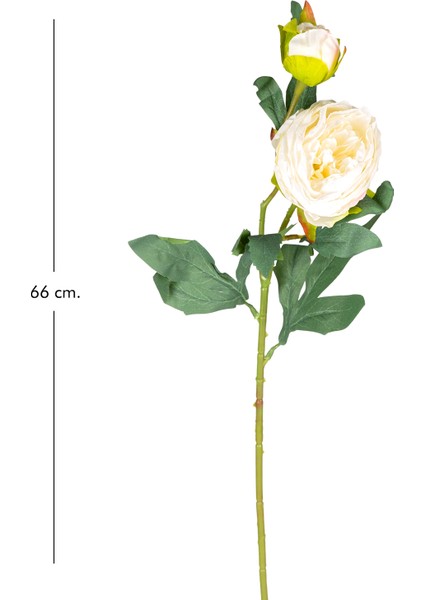 Yapay Çiçek Şakayık Beyaz 66 Cm. modelleri