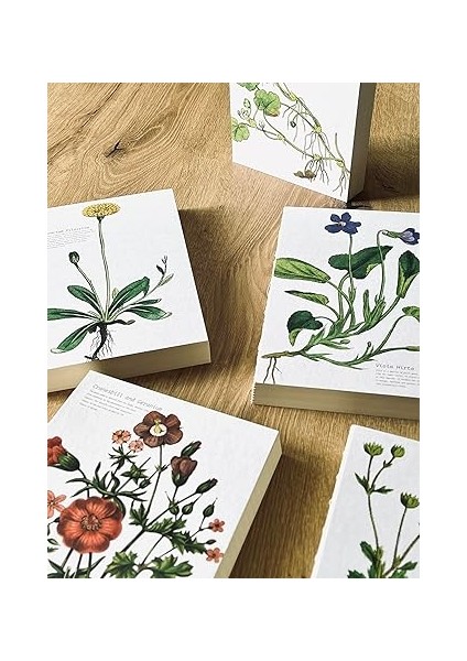 Tanıtım Özel Tasarım Baskılıkapaklı A5 Kareli Not Defteri - 180 Derece Açılabilir, Sırtı DIKIŞLI,%100 El Işçiliği, Ofis Için Ideal, Planlayıcı (Ranunculus Lenormand Kapak Tasarımı) modelleri