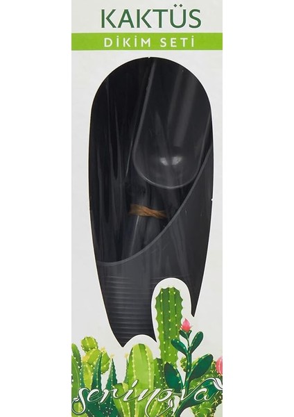 KDS01 Kaktüs Dikim Seti Antrasit