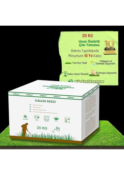 Çok Yıllık Çim Tohumu 20 kg Uzun Ömürlü 6'lı Karışım Gölge ve Aşırı Güneşli Alan Uygun Yetiştirilmesi Kolay 4 Mevsim Yeşil
