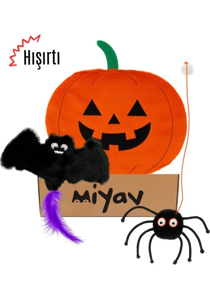 Cadılar Bayramı Temalı Kedi Oyuncak Seti | Hışırtılı Yarasa, Balkabağı Minder ve Örümcek Kedi Oltası