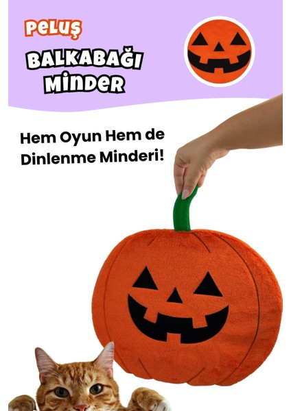 Cadılar Bayramı Temalı Kedi Oyuncak Seti | Hışırtılı Yarasa, Balkabağı Minder ve Örümcek Kedi Oltası modelleri