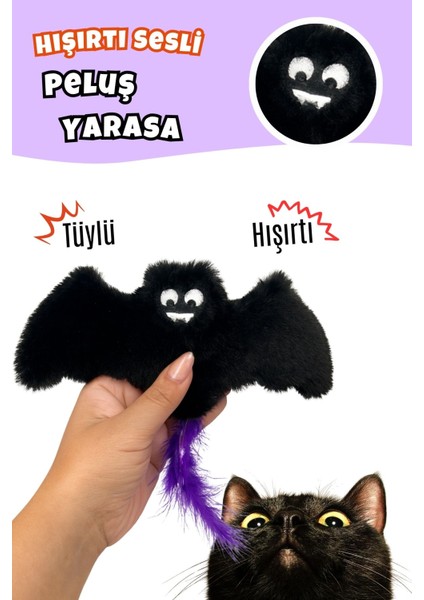 Cadılar Bayramı Temalı Kedi Oyuncak Seti | Hışırtılı Yarasa, Balkabağı Minder ve Örümcek Kedi Oltası