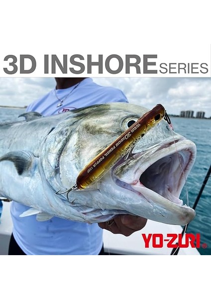 R1348-BSCL: 3D Kıyı Twitchbait (Ss) 110 mm 4-3/8 Inç, Siyah Gümüş Karakter indirimleri