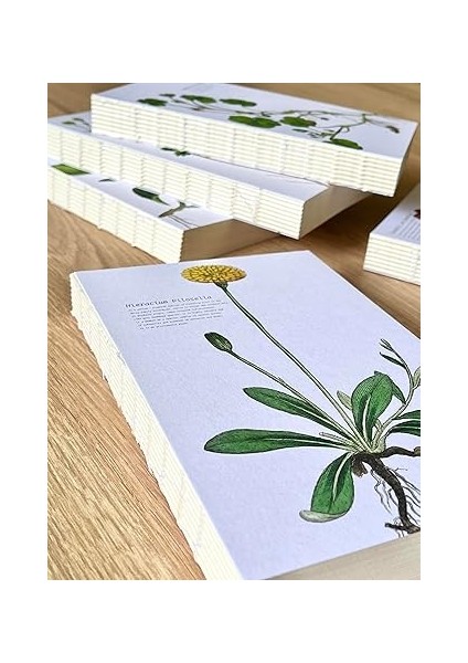 Tanıtım Özel Tasarım Kapaklı A5 Çizgisiz Not Defteri - 180 Derece Açılabilir, Sırtı DIKIŞLI,%100 El Işçiliği, Ofis Için Ideal, Planlayıcı (Cranesbill And Geranium Kapak Tasarımı) fırsatları