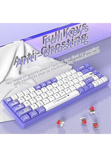 Ajazz AK680 65% Kablolu Hotswap Mekanik Oyun Klavyesi,68 Tuşlu Taşınabilir Anti-Ghosting Klavye,gökkuşağı Arkadan Aydınlatmalı Programlanabilir,eva Sandviç,ergonomik Mor Beyaz/red Switch modelleri