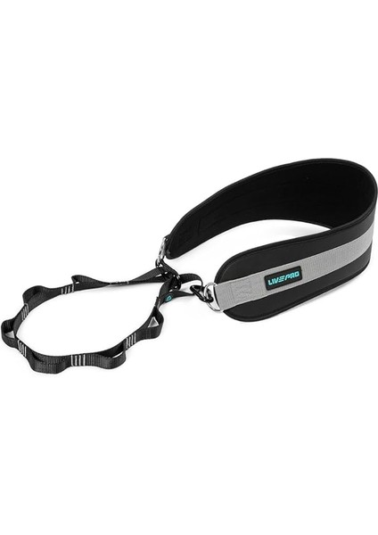 LP8098 Dip Belt Kemeri